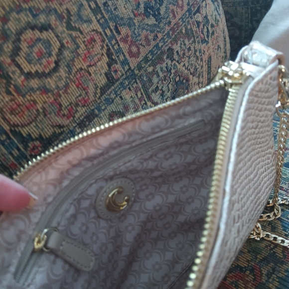 Blush Metallic Snakeprint Crossbody Wristlet from Charming Charlie - Picture 4 of 6